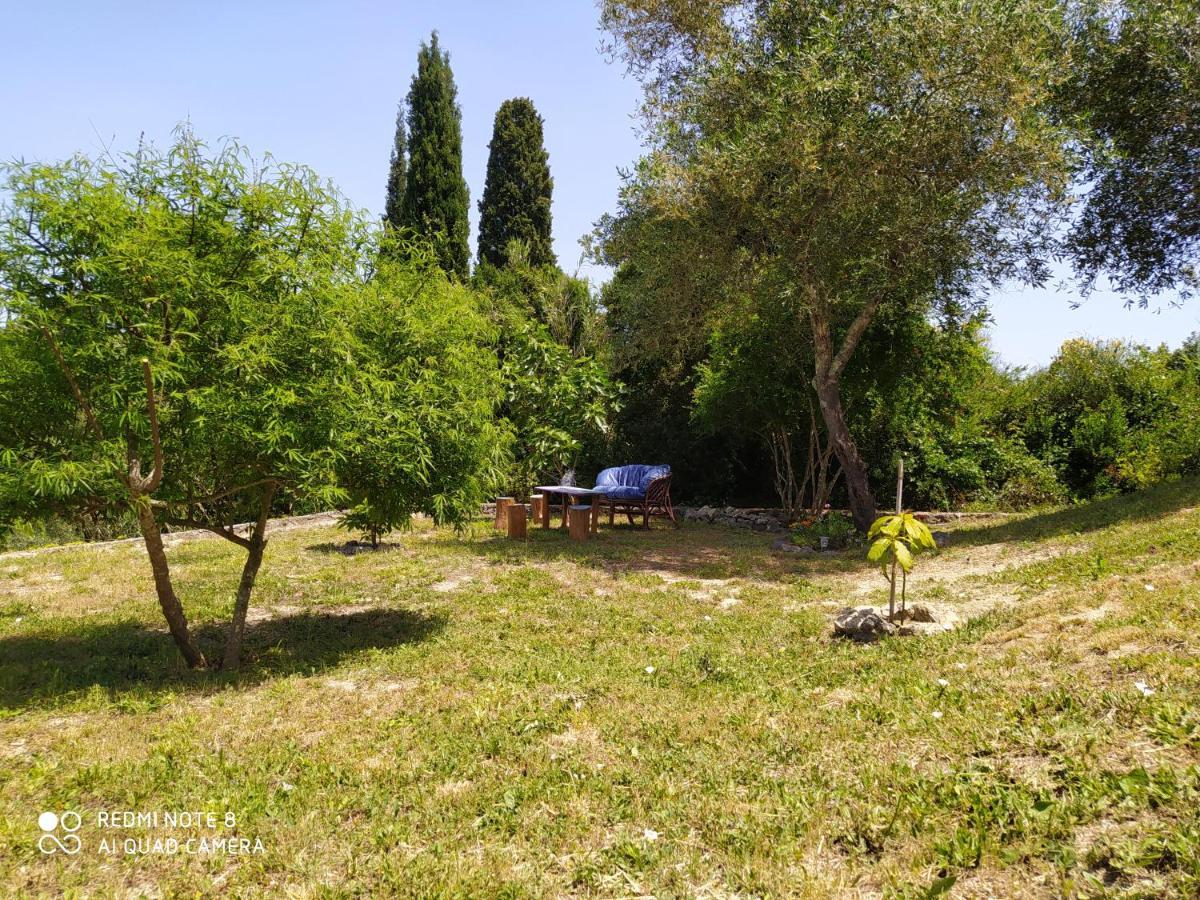 Corfu Villa Galini Potamós Zewnętrze zdjęcie