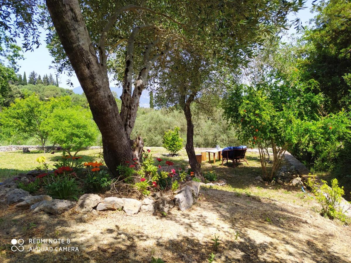 Corfu Villa Galini Potamós Zewnętrze zdjęcie