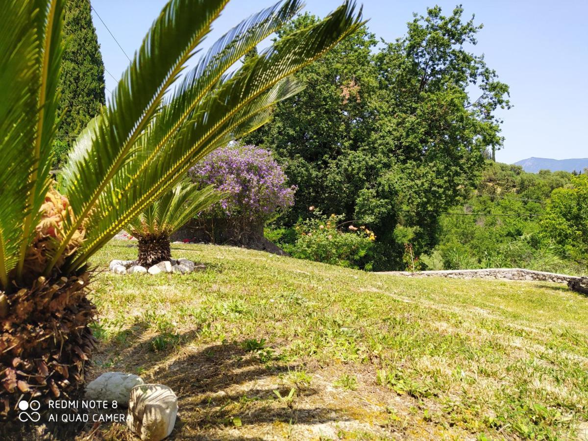Corfu Villa Galini Potamós Zewnętrze zdjęcie